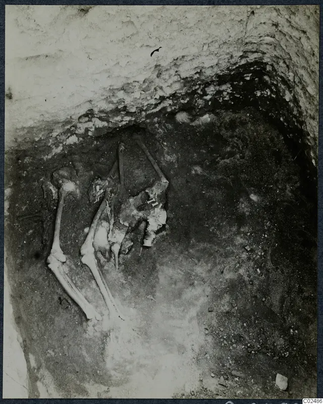 Excavated pit at Enkomi with a skeleton lying in dark soil among stones.