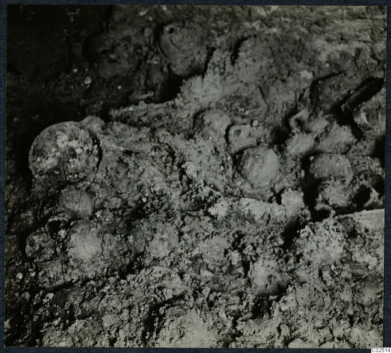 Tomb 11 at Enkomi: close view of rounded objects half-embedded in soil inside the tomb chamber during excavation.