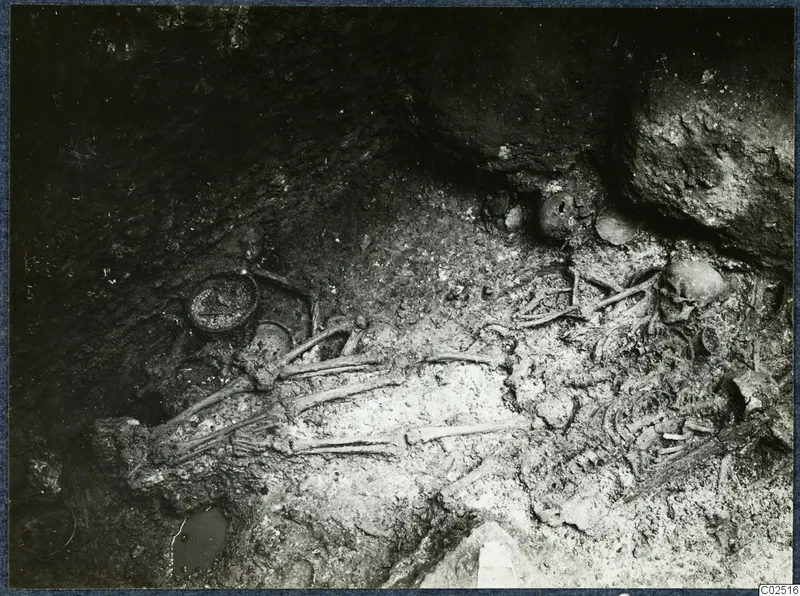 Skeleton and skulls in the chamber of Tomb 18 at Enkomi during excavation