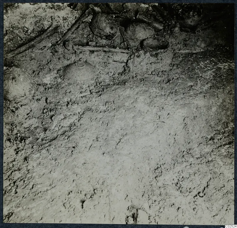 Tomb 10 at Enkomi: tomb chamber during excavation, with skeletal remains and objects in the soil