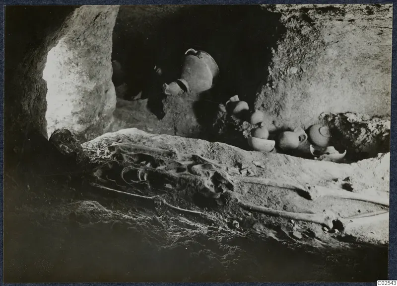Skeleton and pottery vessels lying in situ in a tomb chamber at Ayios Iakovos during excavation