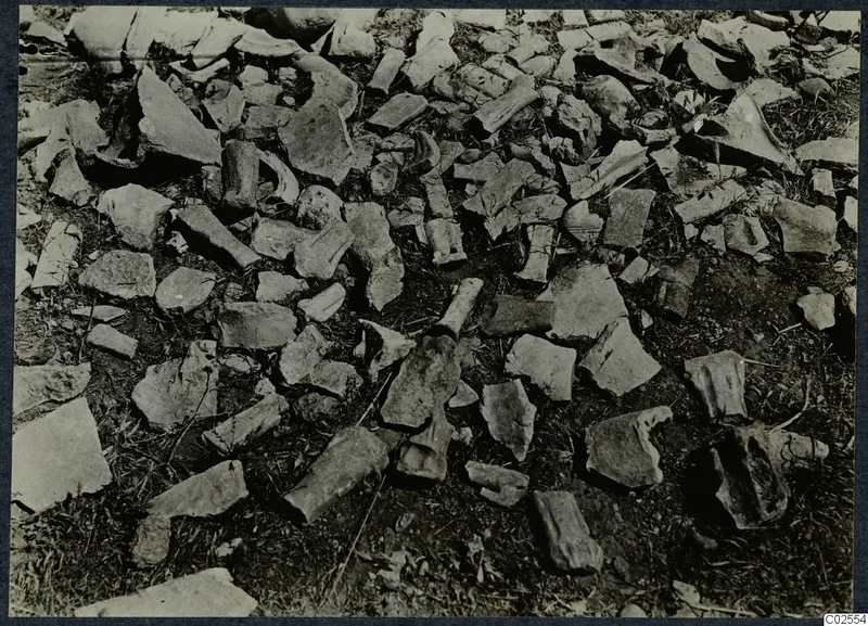 Scattered pottery sherds lying on bare soil and grass at Marion, in a detail of Gunnis's excavation.
