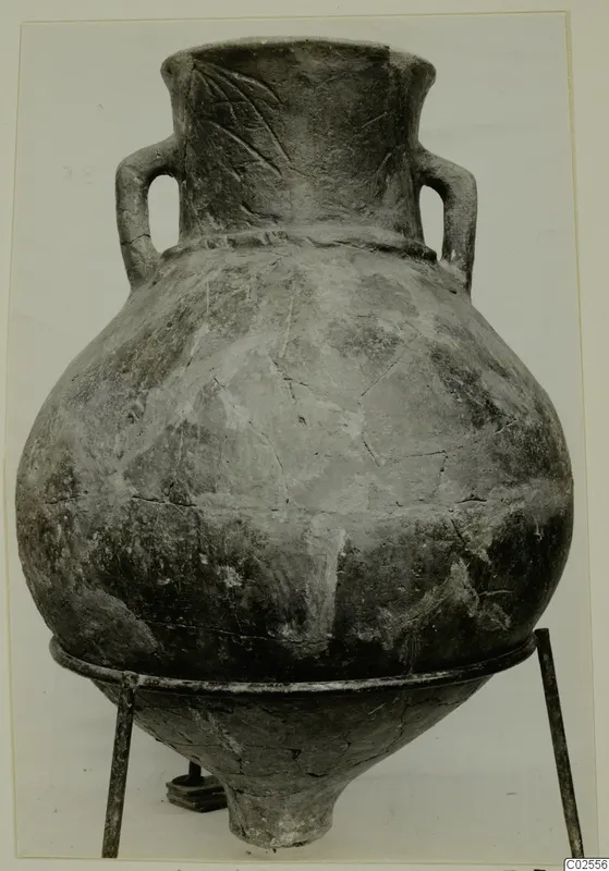 Red Polished II amphora with two loop handles, standing on a metal ring stand against a plain background