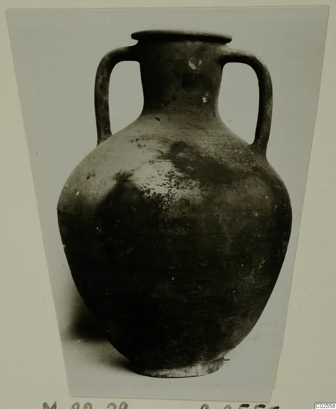 Two-handled amphora with a narrow neck and rounded body, shown in a mounted photograph