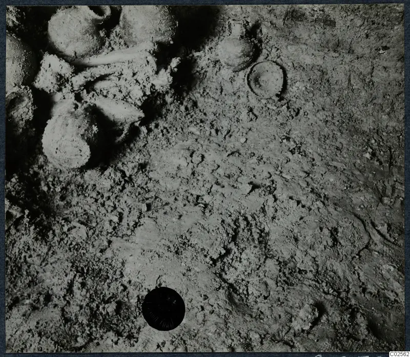 Several rounded vessels lying in excavated soil in Tomb 19 at Enkomi, during excavation