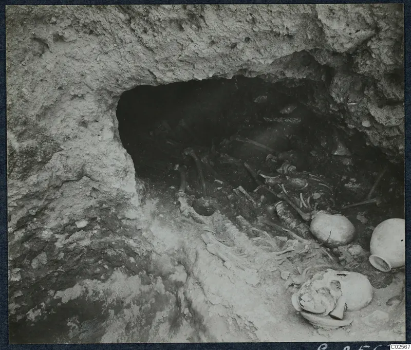 Tomb 19 at Enkomi: skeleton and skulls inside the tomb chamber during excavation