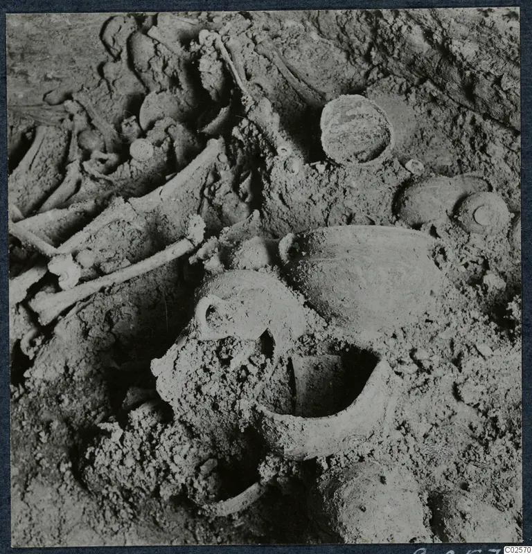 Tomb 19 at Enkomi: bones and pottery vessels lying in soil inside the tomb chamber during excavation.