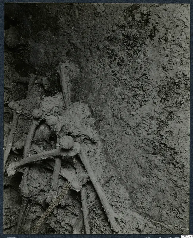 Skeleton bones lying in soil inside Tomb 19 at Enkomi, during excavation