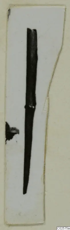 Pin from Enkomi, a slender dark pin with a thicker upper section, shown as a small print on a card mount