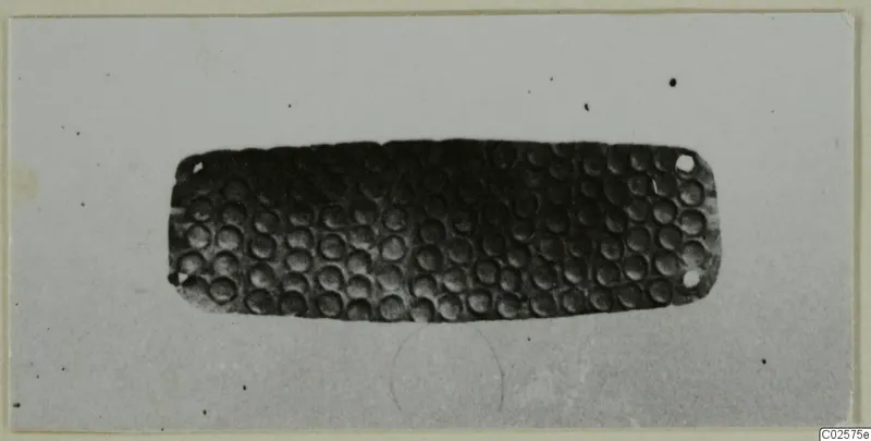 Rectangular metal sheet with rows of round dimples and small holes near the corners, Enkomi find