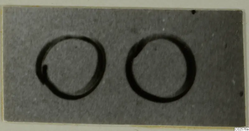 Two rings lying side by side on a grey card, shown as dark circular outlines