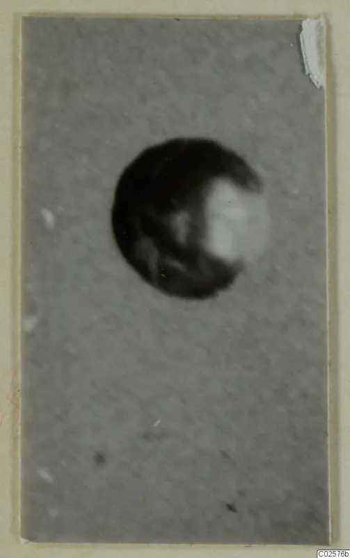 Blurred photograph of a round dark object, a find from Enkomi, shown against a plain grey background