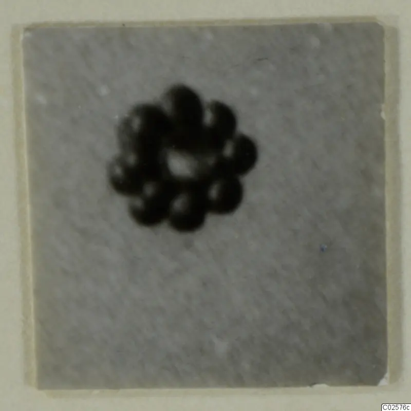 Ring of about a dozen dark round beads, Bronze Age gold and silver find from Enkomi