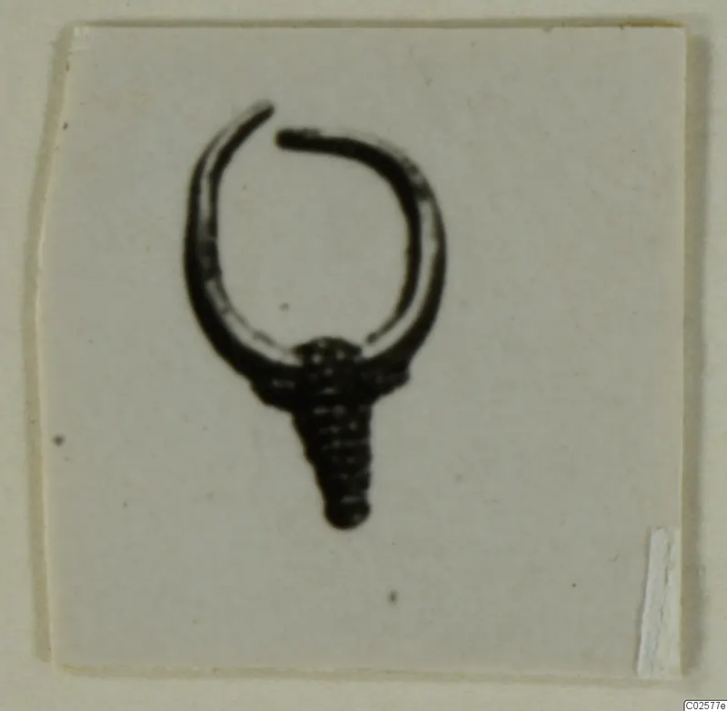 Earring: an open hoop with a cone-shaped element at its base, photographed on a pale card mount.