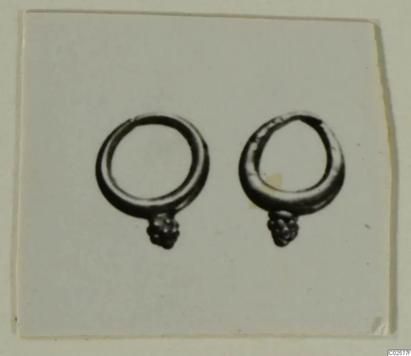 Two loop earrings with cluster-knobbed ends, shown side by side on a plain pale card