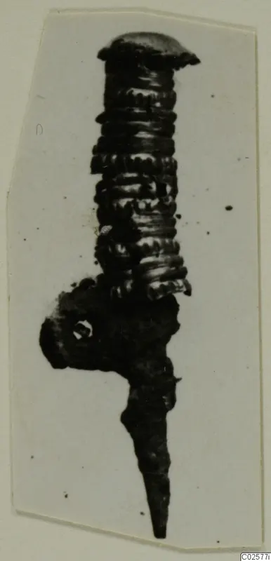 Corroded metal pin from Enkomi with a ridged, coiled shaft and a rounded head