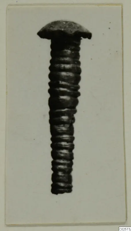Pin with a flat domed head and a shaft wrapped in closely spaced rings, shown on a card mount