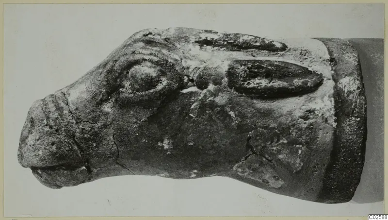 Faience rhyton from Enkomi in the form of an animal head, photographed from the side.