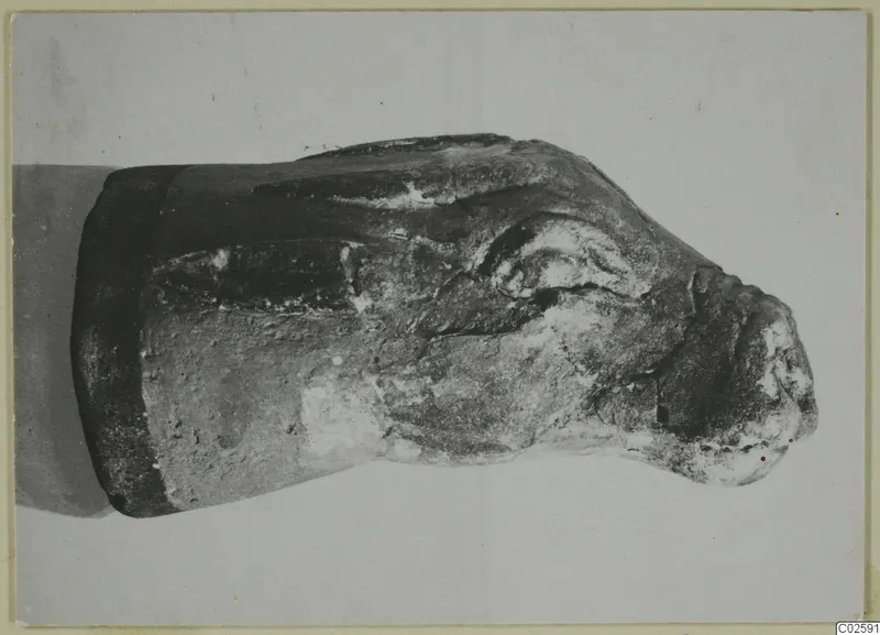 Worn fragment of a figure, possibly an animal head, shown in side view on a plain background