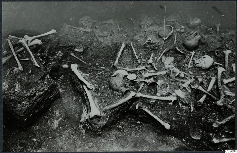 Tomb 6 at Enkomi during excavation, with scattered human bones, skulls and pottery vessels in the tomb chamber soil