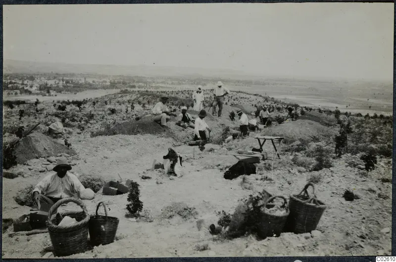 Excavation on the acropolis at Idalion, with workers digging among earth mounds and large baskets in the foreground.