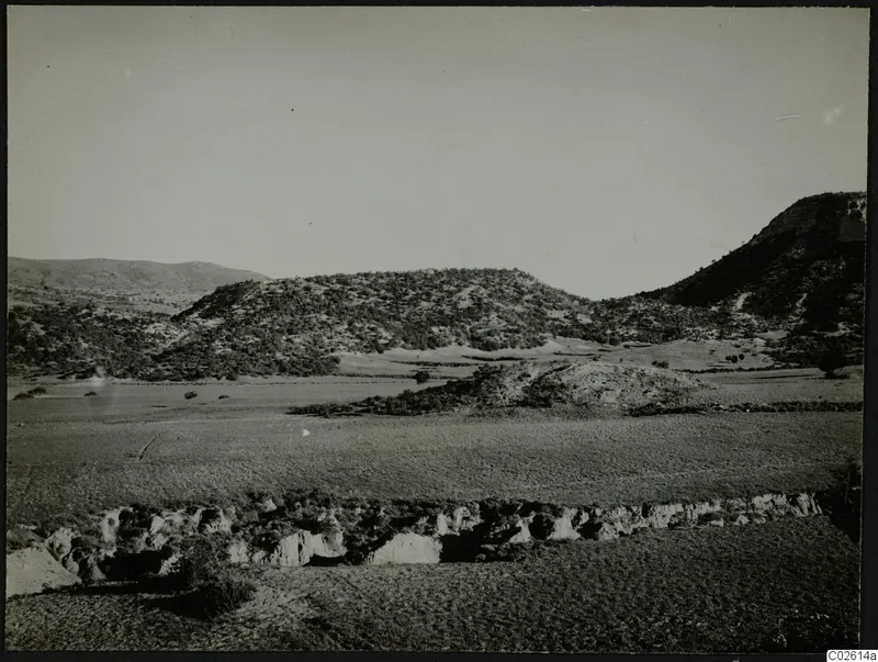 Necropolis hill at Palaeoskoutella seen from the south across a flat, cultivated plain.