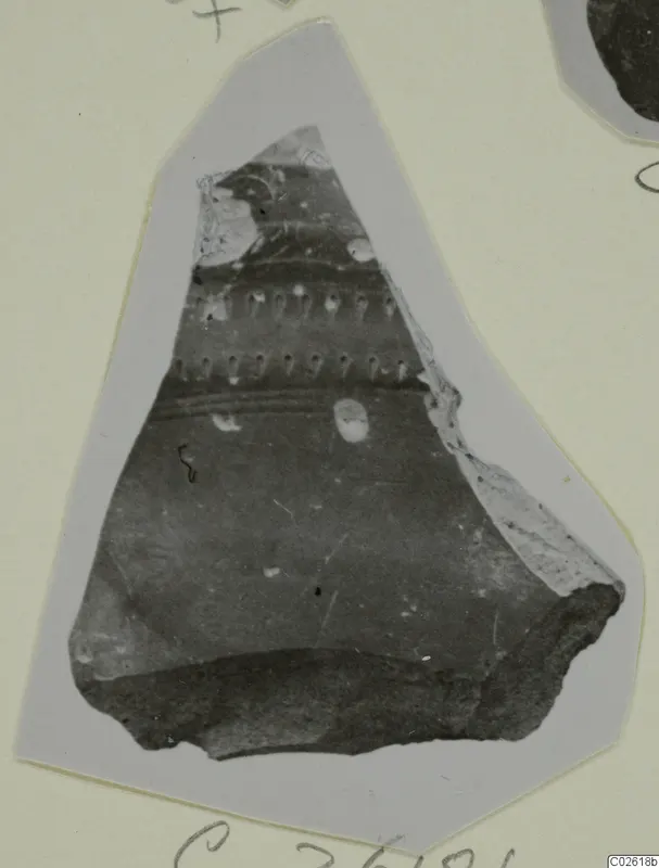 Pottery sherd with two rows of small impressed marks and horizontal grooves, shown on a grey card mount