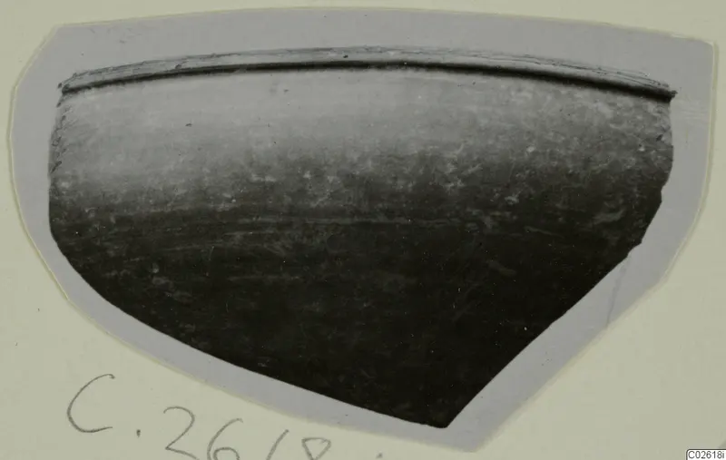Sherd of a dark-surfaced vessel with a rounded body and a rim, photographed on a grey card mount