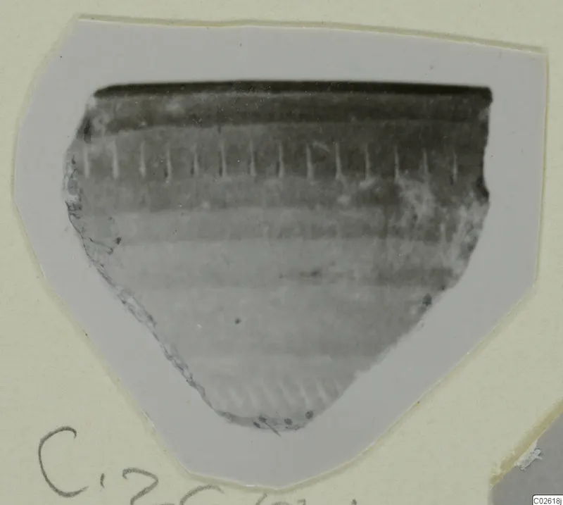 Pottery sherd with a dark rim band and short vertical marks on its upper body, mounted on a white card