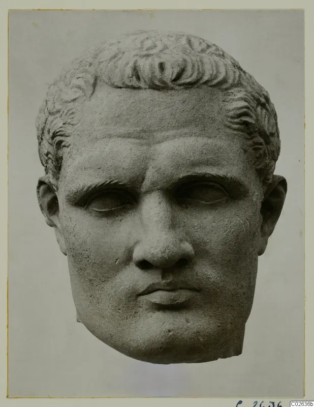 Head of a male statue in stone, with short curled hair and a broken neck.