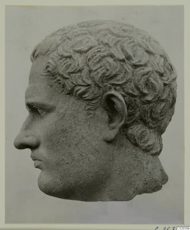 Stone head from a statue, seen in profile facing left, with curly hair.