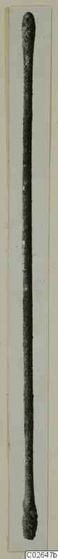 Long, slender, corroded metal object from Marion with thickened ends, photographed upright against a pale card.