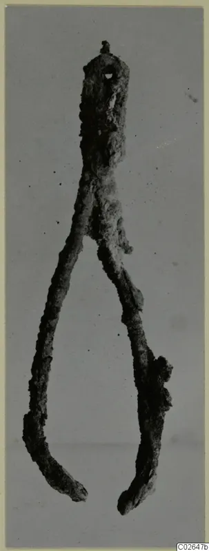 Corroded iron implement with a loop at the top and two long arms splaying apart toward blunt ends