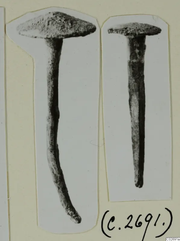 Two iron nails from Marion, photographed on mounted card strips.