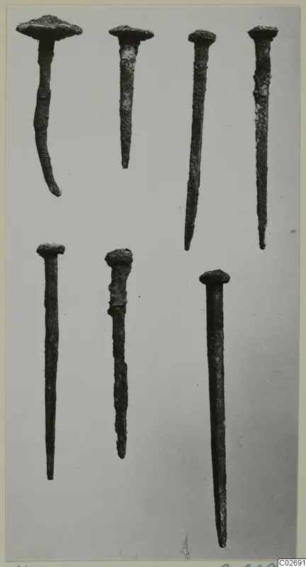 Several corroded nails with flat or domed heads and tapering shafts on a plain grey background