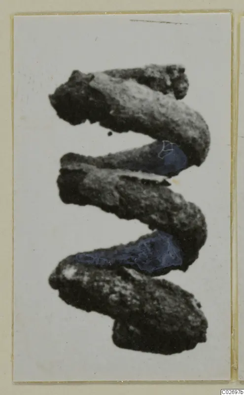 Corroded bronze spiral ornament from Marion, Tomb 41.