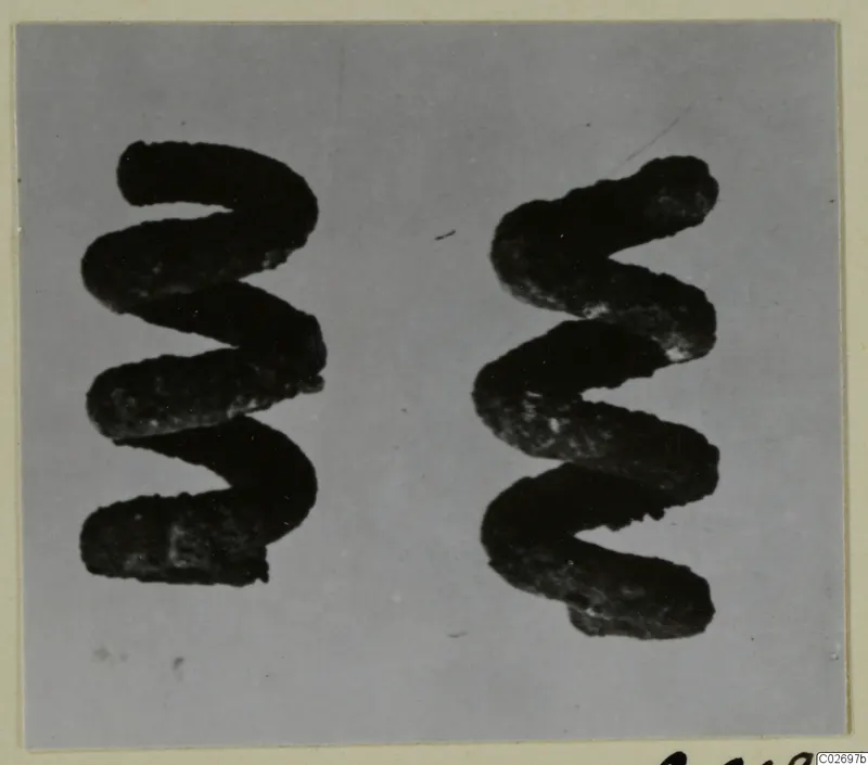 Two dark spiral bronze adornments from Marion, Tomb 41, shown side by side on a grey backdrop