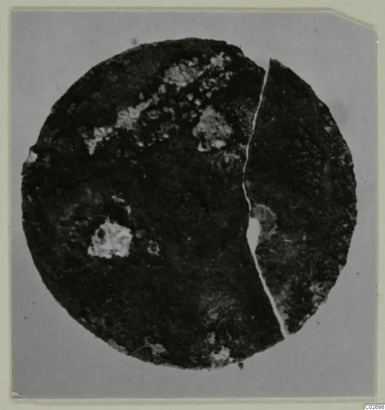 Circular corroded metal disc, broken into two pieces, with pale patches of corrosion on a grey background