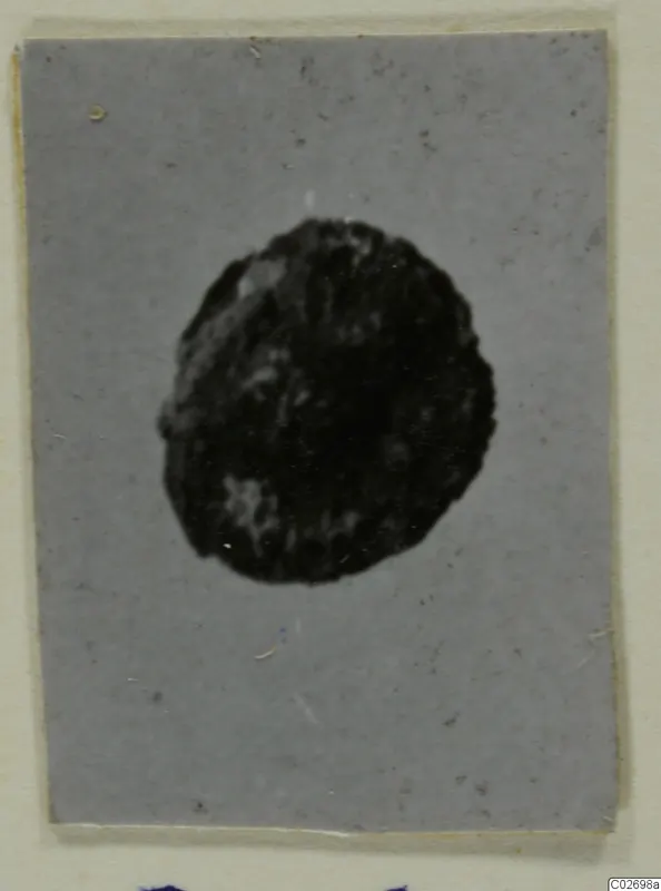 Small dark round object centred on a grey card, photographed as a single find