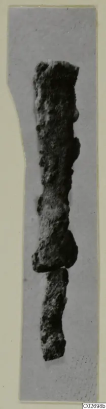 Corroded iron object in two broken pieces, photographed upright on a grey card mount