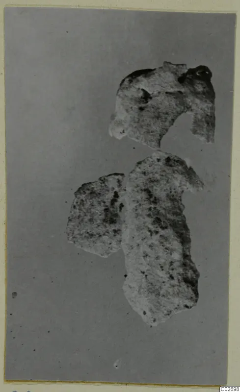 Two broken pieces of pale stone, probably from a vase, on a grey backdrop