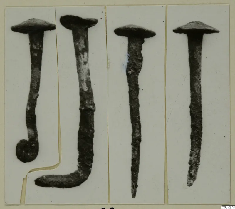Four corroded metal nails with domed heads, photographed side by side in separate panels on a card
