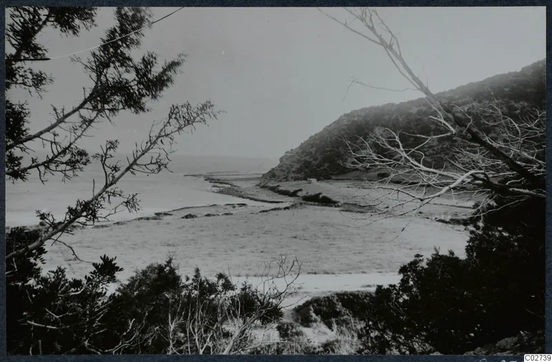 View across a flat coastal plain to the sea, with a hillside on the right and trees framing the view.