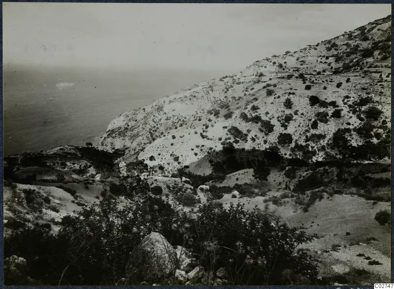 Rocky, scrubby hillside falling to the sea at Vouni, with a rough foreground of bushes and boulders.