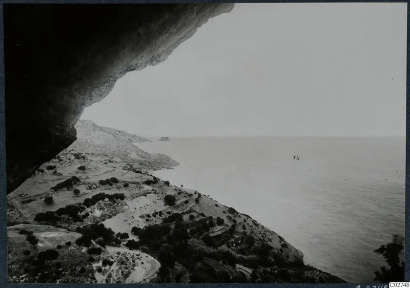 View from under a rock overhang over a scrubby coastal slope with trees, with the calm sea stretching to the horizon