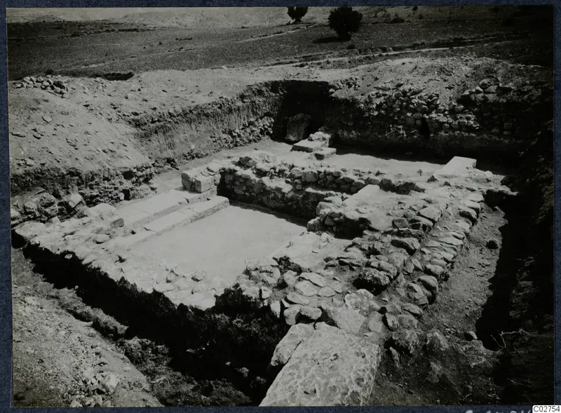 Excavated stone walls and a paved floor with steps at Soli, with trees and hills in the background.