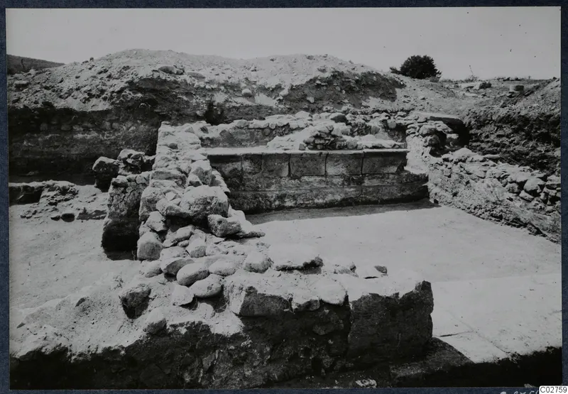 Excavated ruins at Soli with rubble walls, a squared-block wall and a paved area, with a spoil heap and one tree behind.