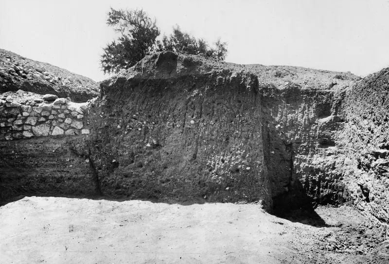 Excavated soil section at Mersinaki showing layered earth beside a dry-stone wall, with a shrub on top.