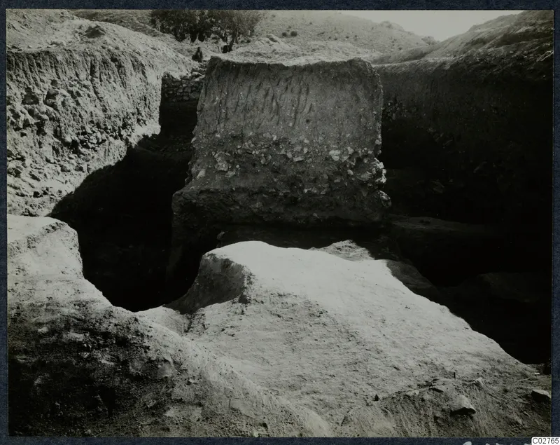 Soil profile in the excavation at Mersinaki, a standing earth face with embedded stones and a tree on the hill behind.