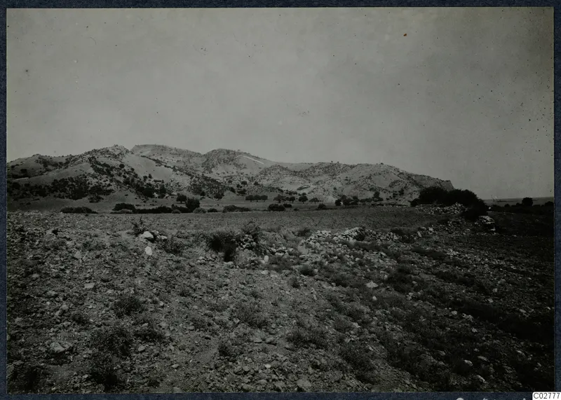 Rocky, scrubby ground in the foreground with a range of hills and scattered trees behind it